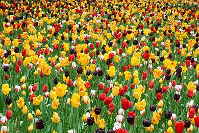 玩具武器横扫未来！《NERF：传奇》正式公布