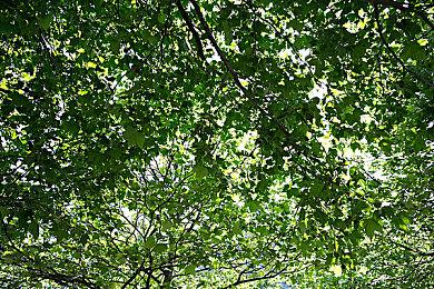 《幻兽帕鲁》开发商称无意在未来游戏中使用AI 真的吗？